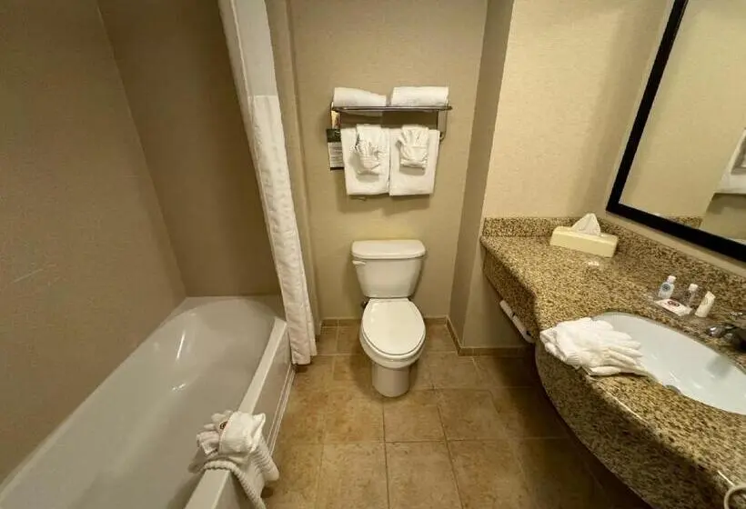 ホテル Comfort Inn & Suites Lexington Park Near Pax River