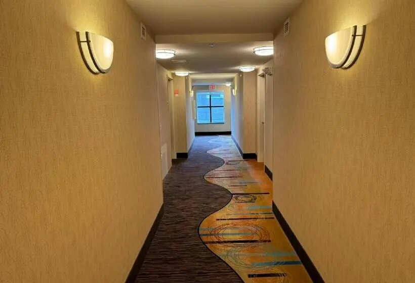 ホテル Comfort Inn & Suites Lexington Park Near Pax River