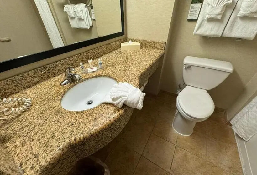ホテル Comfort Inn & Suites Lexington Park Near Pax River