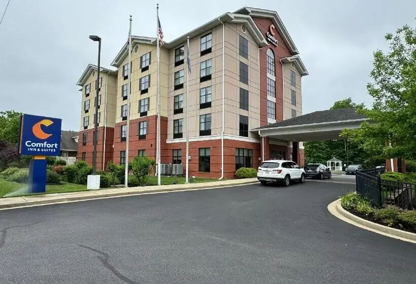 ホテル Comfort Inn & Suites Lexington Park Near Pax River