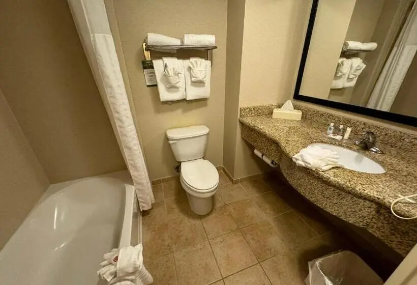 ホテル Comfort Inn & Suites Lexington Park Near Pax River
