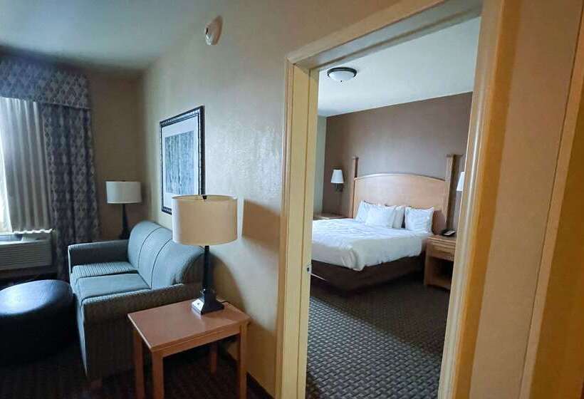 هتل Mainstay Suites Williston