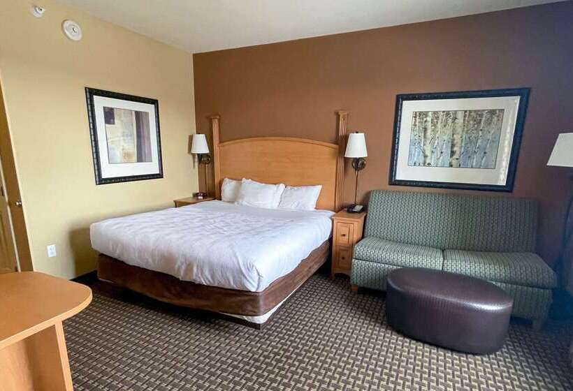 هتل Mainstay Suites Williston