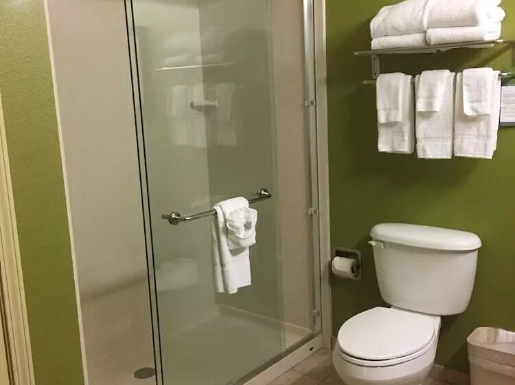 هتل Mainstay Suites Williston