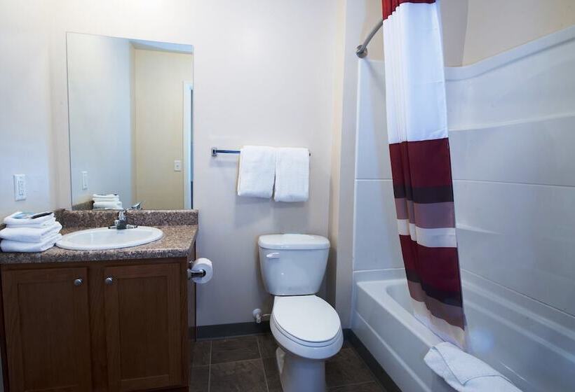 בית מלון כפרי Red Roof Inn & Suites Dickinson