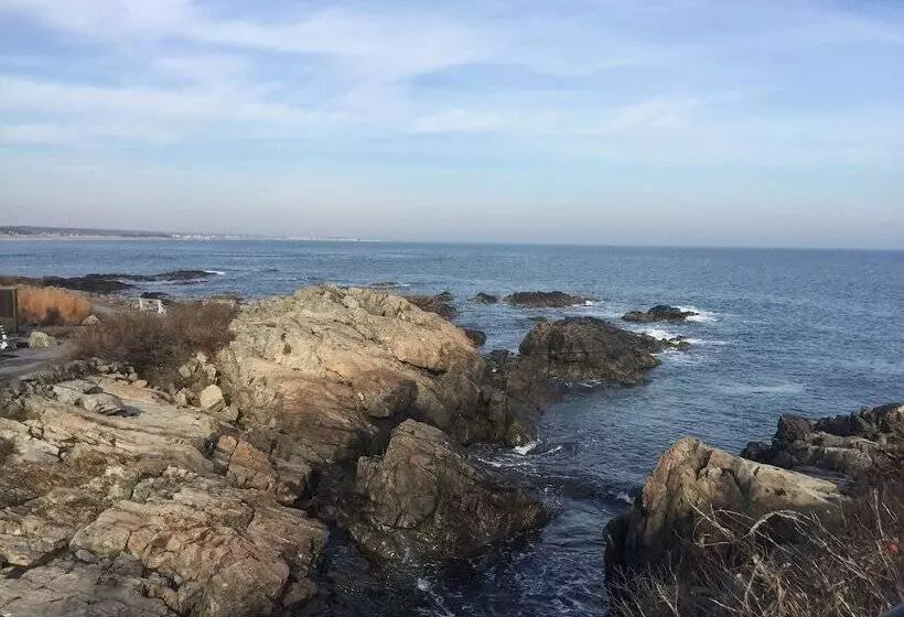 ホテル Sea Rose Suites