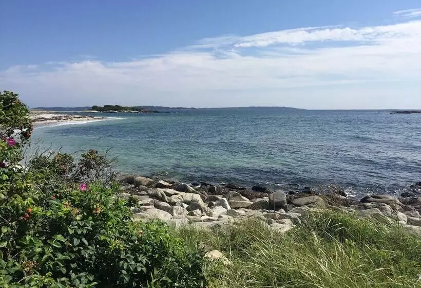 ホテル Sea Rose Suites