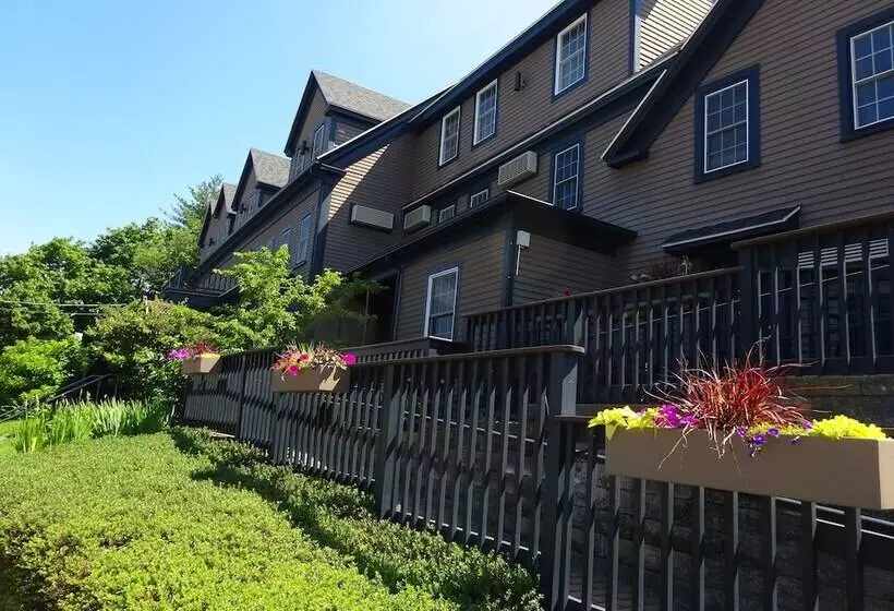 ホテル Sea Rose Suites