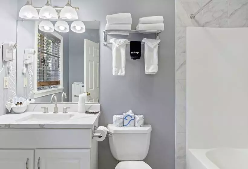 ホテル Sea Rose Suites