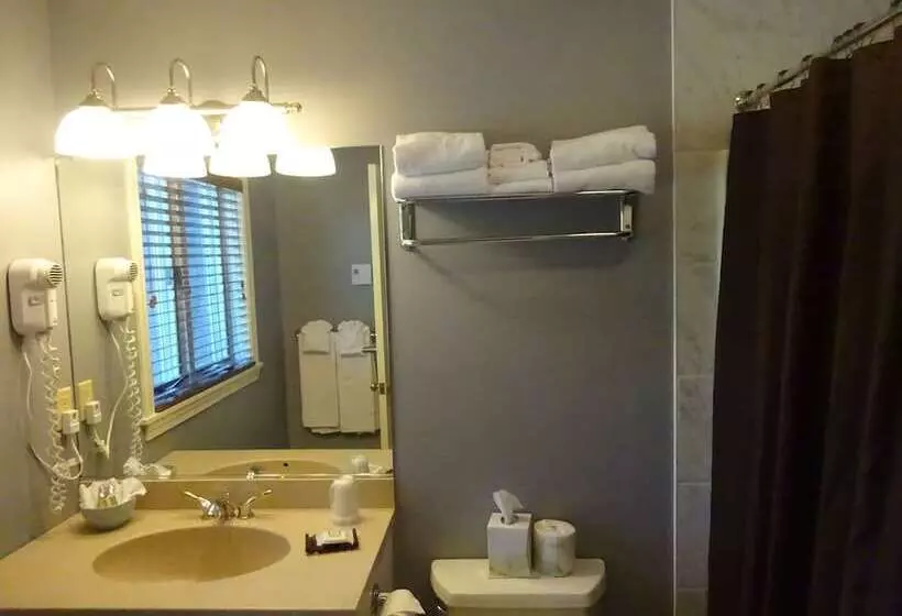 ホテル Sea Rose Suites