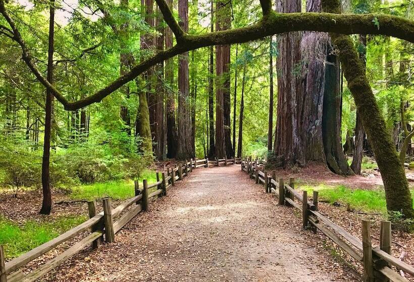 Отель The Historic Brookdale Lodge, Santa Cruz Mountains