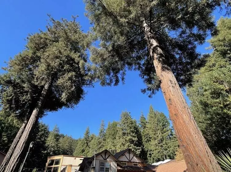 ホテル The Historic Brookdale Lodge, Santa Cruz Mountains