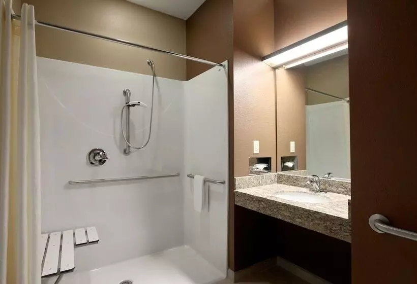 Microtel Inn & Suites By Wyndham Wheeling At The Highlands