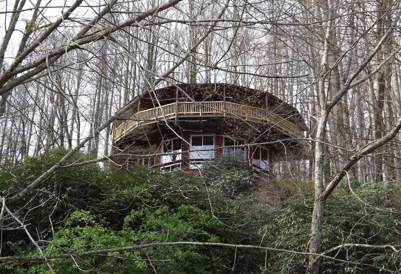 Cabins At Twinbrook Resort