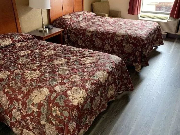 ホテル Amelia Inn & Suites