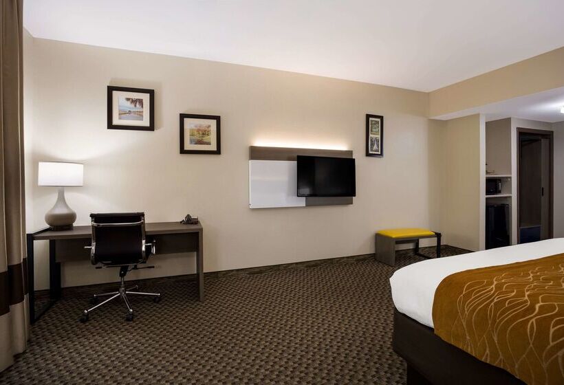 호텔 Comfort Inn & Suites Midway Tallahassee West