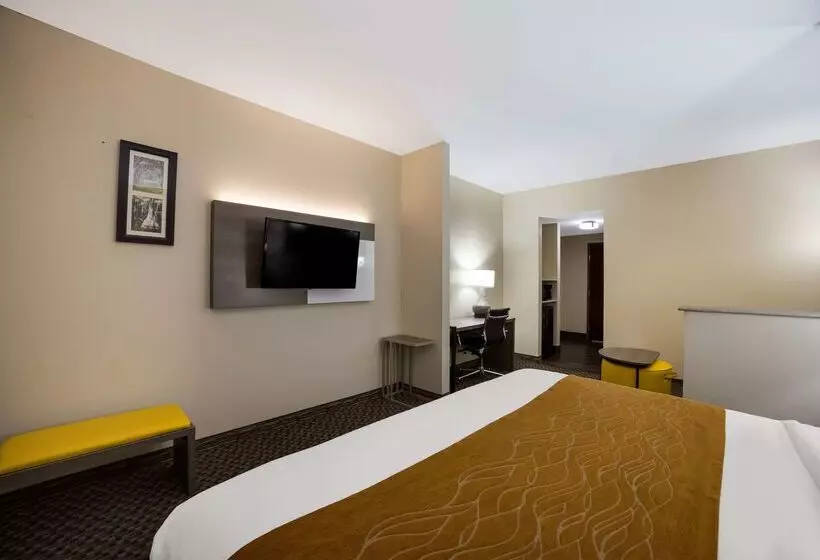 호텔 Comfort Inn & Suites Midway Tallahassee West