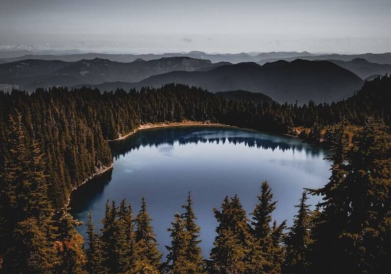 فندق Gateway Inn & Cabins