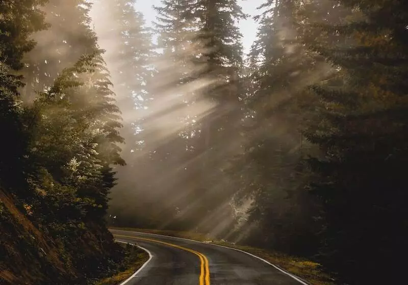 酒店 Gateway Inn & Cabins