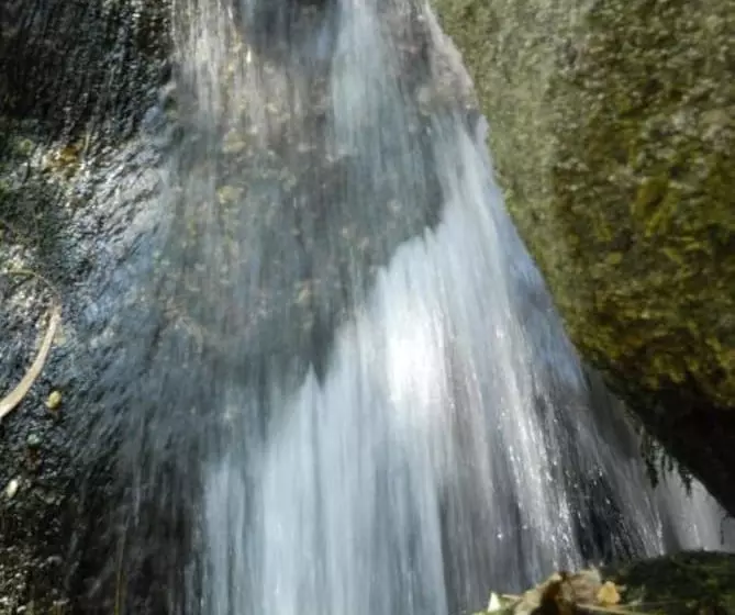 בית מלון כפרי Inatel Entre Os Rios