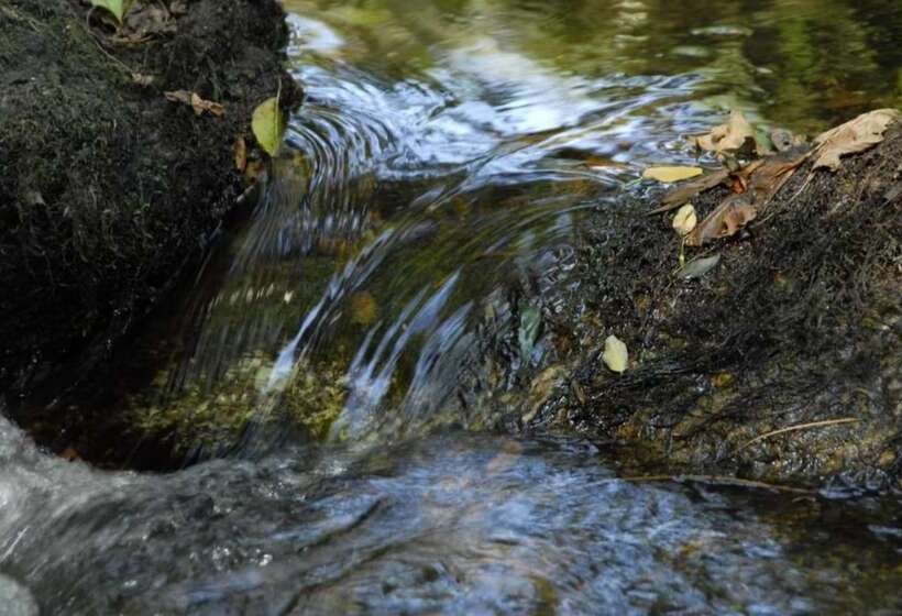 فندق Inatel Entre Os Rios