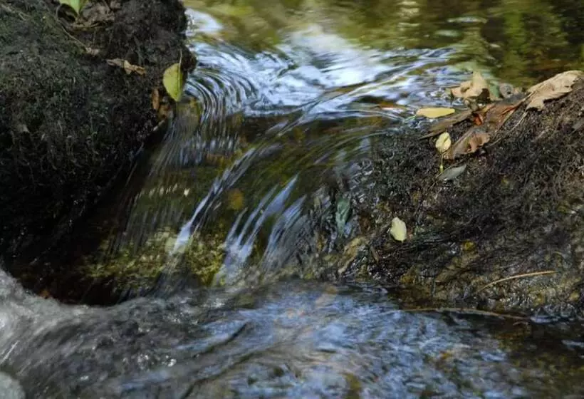 בית מלון כפרי Inatel Entre Os Rios