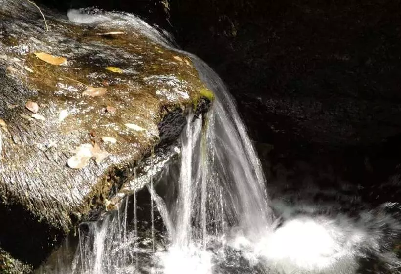 בית מלון כפרי Inatel Entre Os Rios