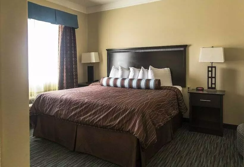 Отель Red River Inn And Suites