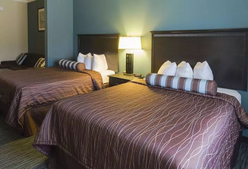 Отель Red River Inn And Suites