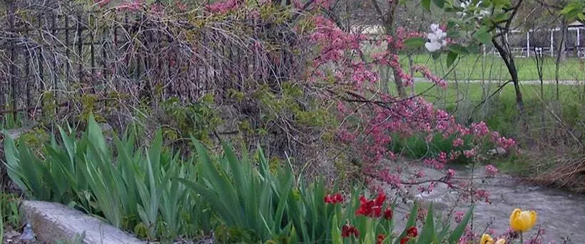 Отель Riverside Hot Springs Inn & Spa Adults Only