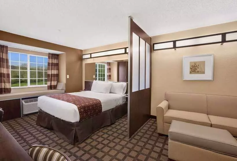 Microtel Inn & Suites Sayre, Pa