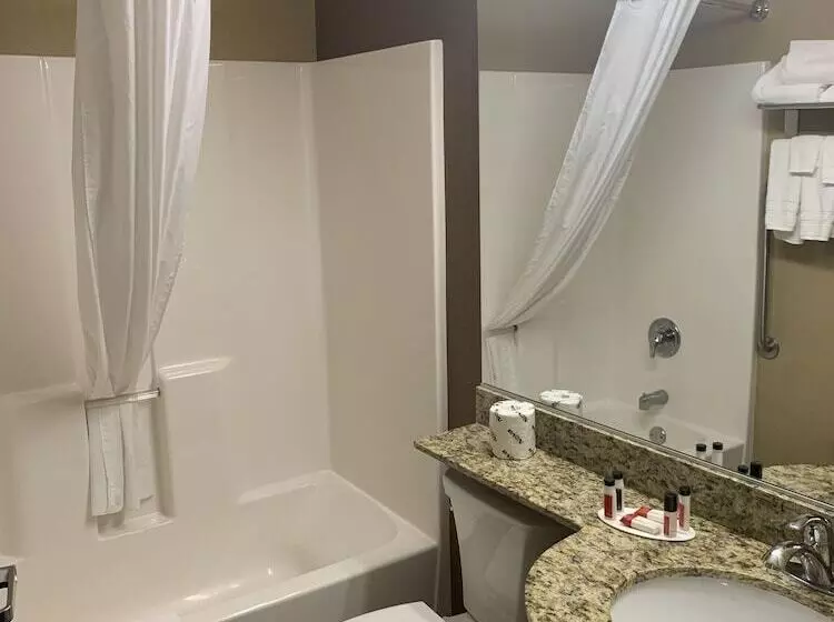 Microtel Inn & Suites Sayre, Pa