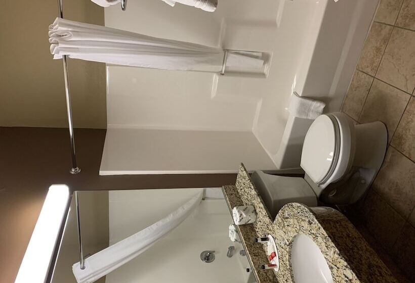 Microtel Inn & Suites Sayre, Pa