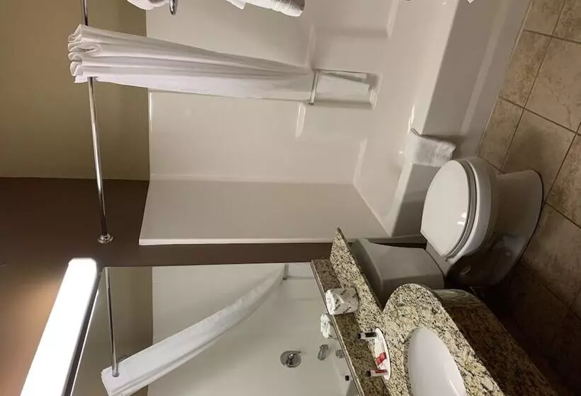 Microtel Inn & Suites Sayre, Pa