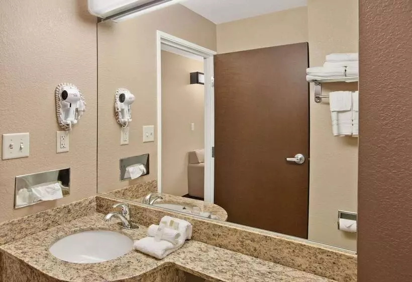 Microtel Inn & Suites Sayre, Pa