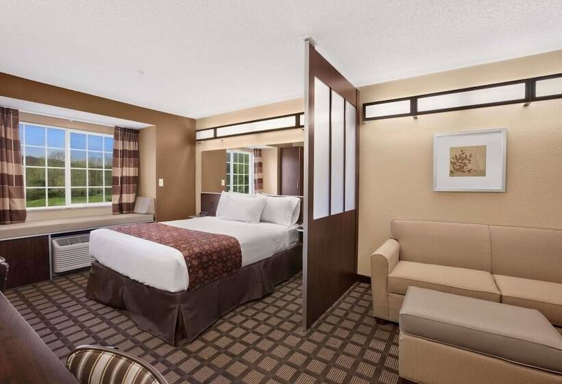 Microtel Inn & Suites Sayre, Pa