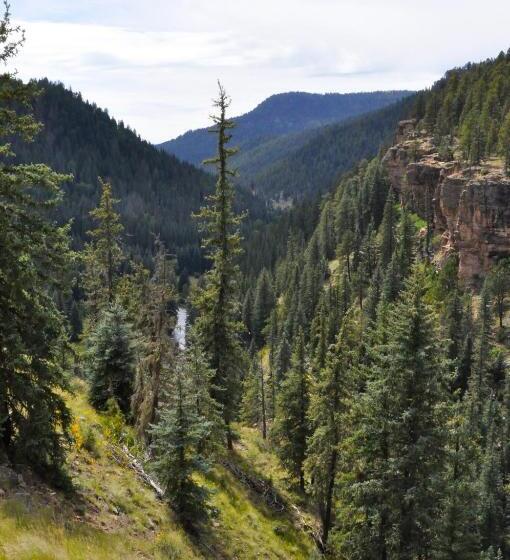 モーテル Alpine Inn