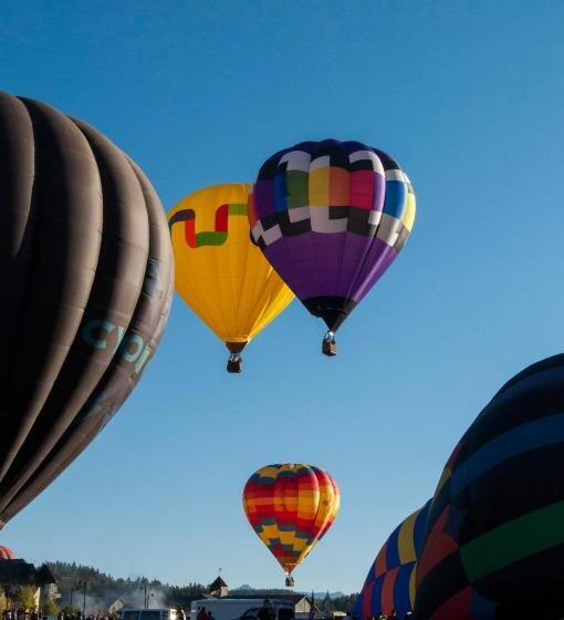 モーテル Alpine Inn