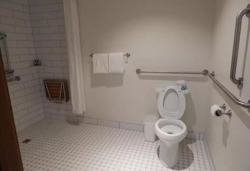 Мотель Alpine Inn