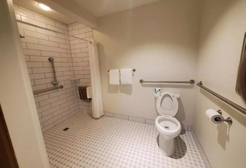 Мотель Alpine Inn