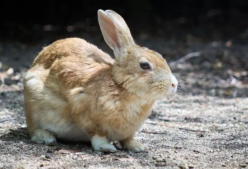 ホテル Tabist Setouchi No Yado Takehara Seaside