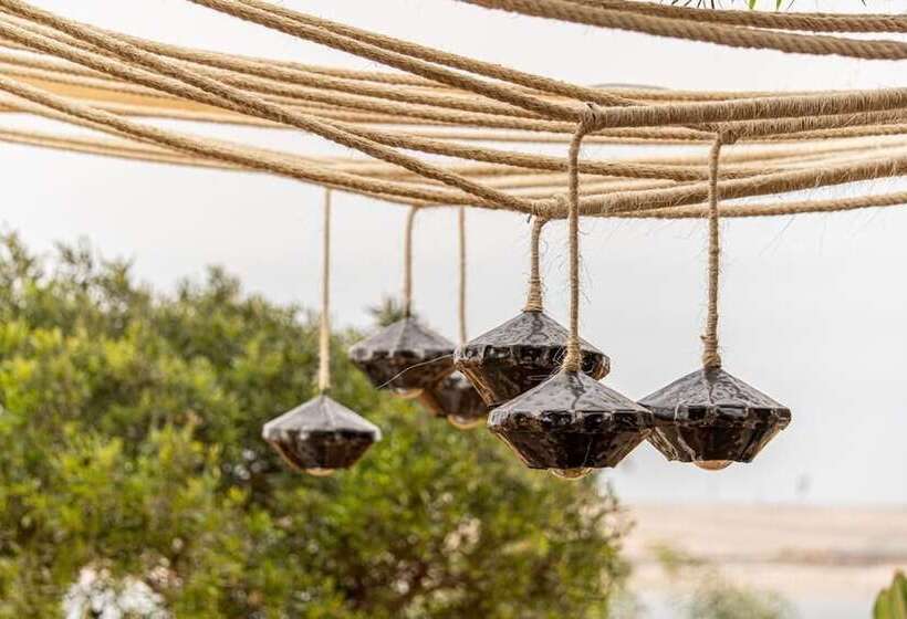 酒店 Ocean Vagabond Dakhla