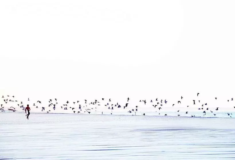 Hotelli Ocean Vagabond Dakhla