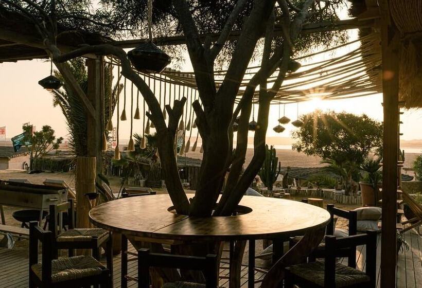 酒店 Ocean Vagabond Dakhla