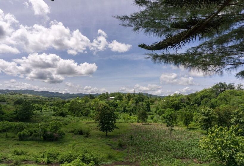 호텔 Reddoorz @ Tambolaka Sumba