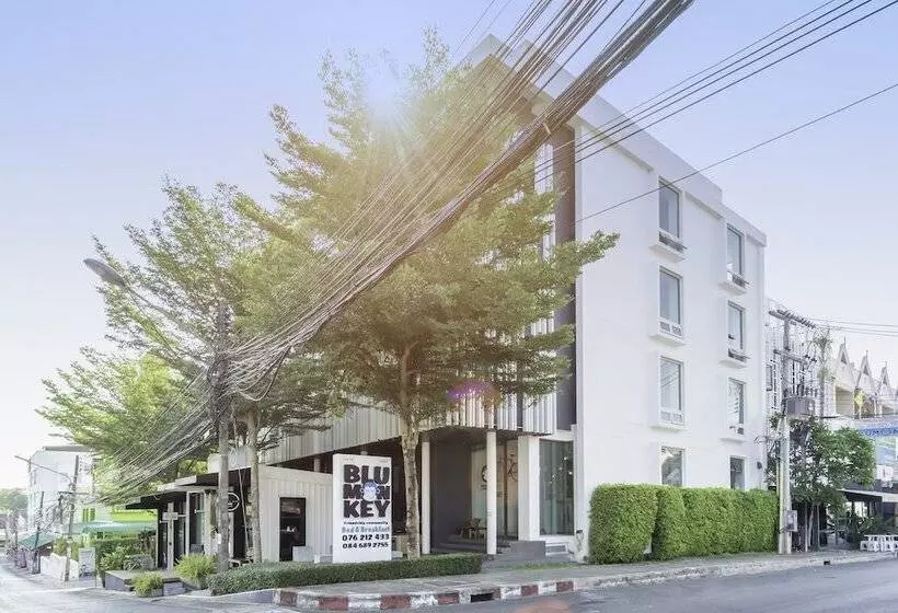 Albergue Blu Monkey Bed & Breakfast Phuket