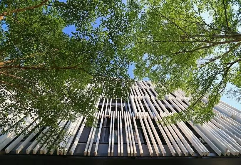 Albergue Blu Monkey Bed & Breakfast Phuket