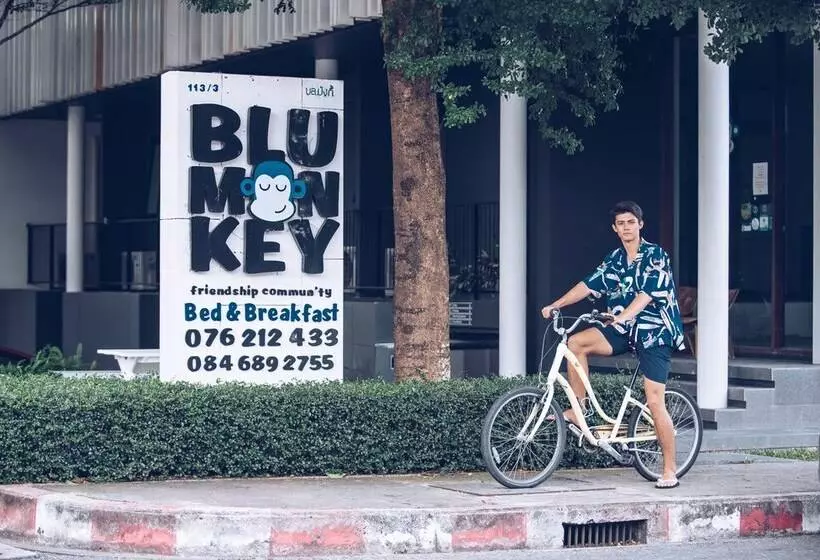 Albergue Blu Monkey Bed & Breakfast Phuket