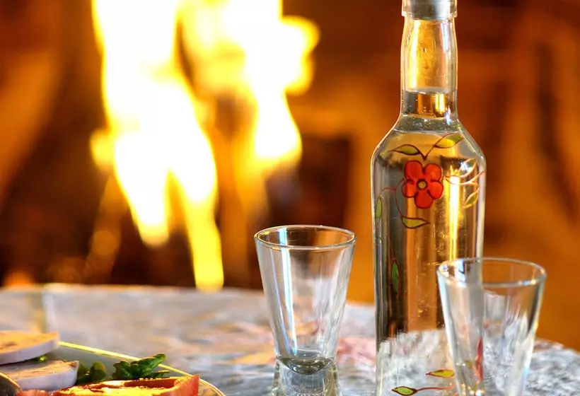 酒店 Konitsa Mountain