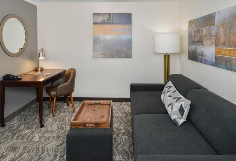 Отель Springhill Suites By Marriott Lancaster Palmdale